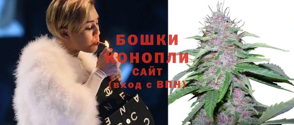 твердый Михайлов