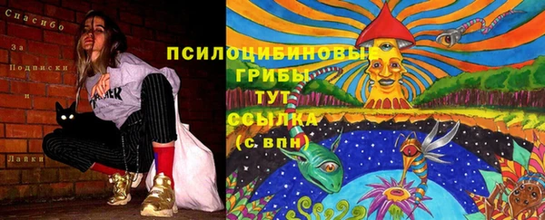 синтетический гашиш Михайловск