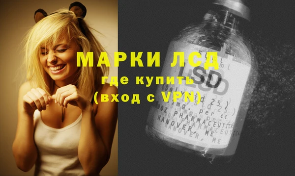 твердый Михайлов