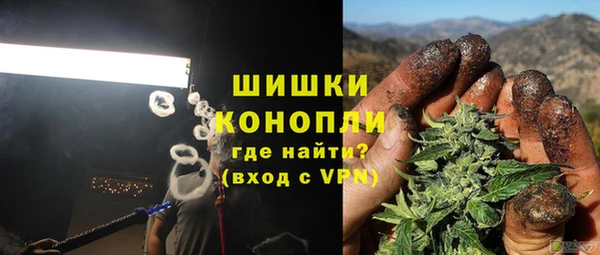 твердый Михайлов