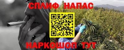 дмт Берёзовский