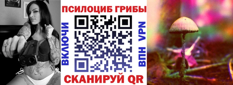 Псилоцибиновые грибы мицелий  Всеволожск 