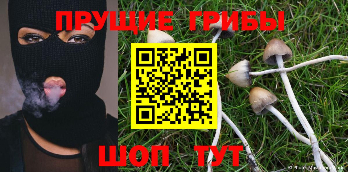 Галлюциногенные грибы мицелий Всеволожск