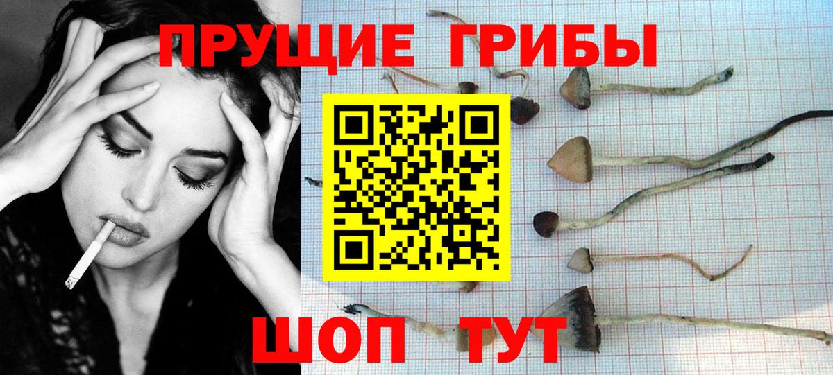 Галлюциногенные грибы ЛСД Всеволожск