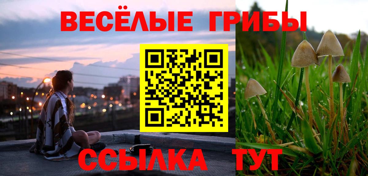Псилоцибиновые грибы Psilocybine cubensis  Вход с VPN  Всеволожск 